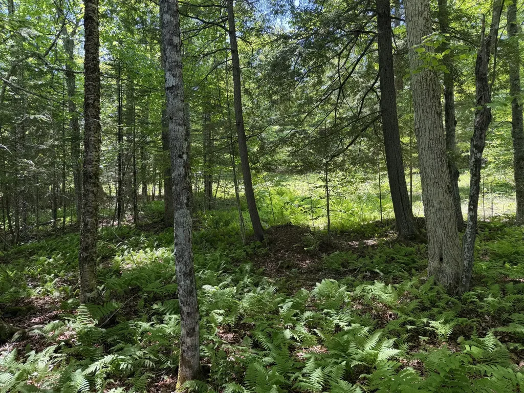 Map 21 Lot 11 Bear Lane Dexter ME 04930