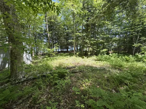 Map 21 Lot 11 Bear Lane Dexter ME 04930