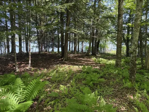 Map 21 Lot 11 Bear Lane Dexter ME 04930