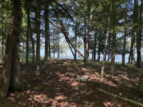 Map 21 Lot 11 Bear Lane Dexter ME 04930