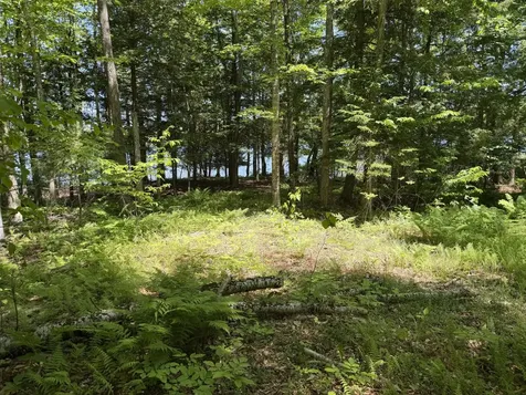 Map 21 Lot 11 Bear Lane Dexter ME 04930
