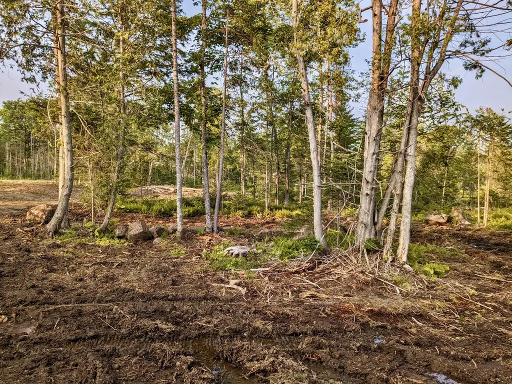 11 Hammond Brook Road Monson ME 04464