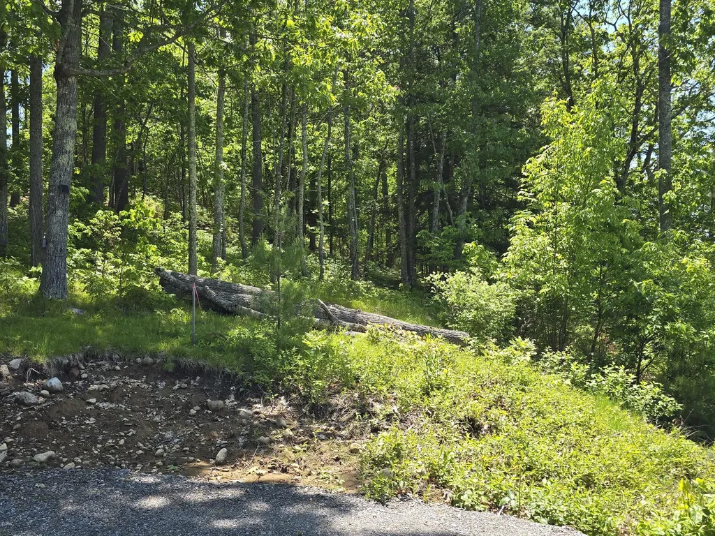 Lot 55 Quaker Ridge Road Casco ME 04015