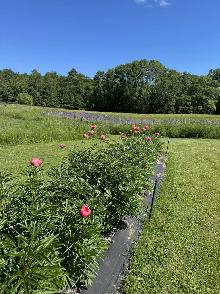 26 Martin Road Alna ME 04535