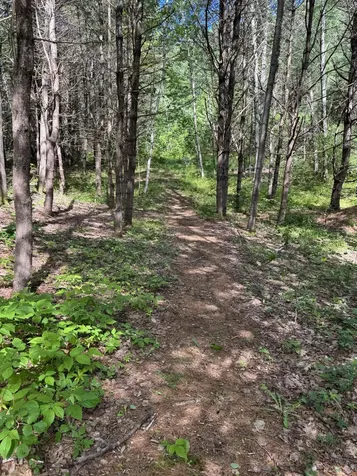 26 Martin Road Alna ME 04535