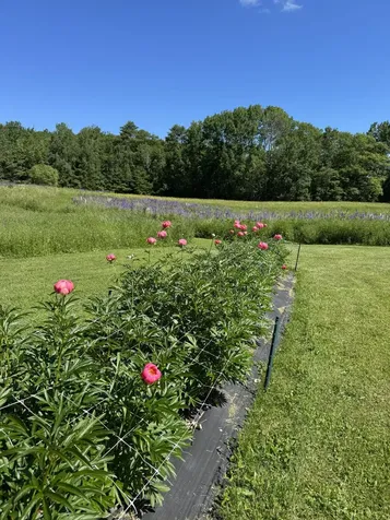 26 Martin Road Alna ME 04535
