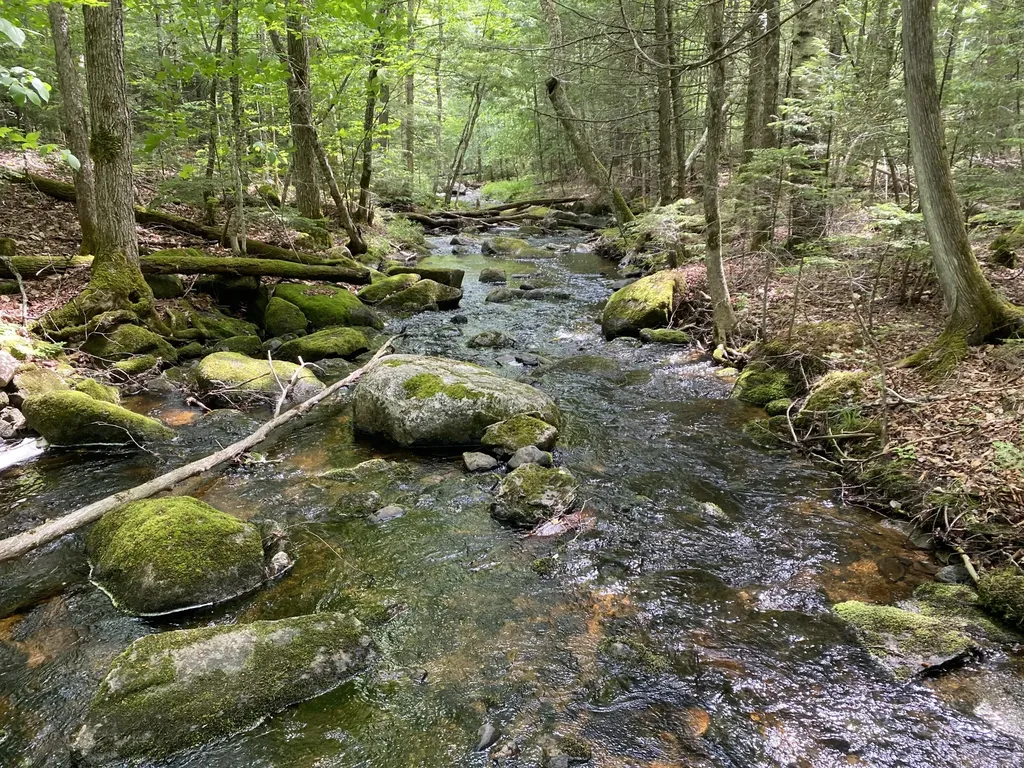 783 Half Township Road Lincoln ME 04457