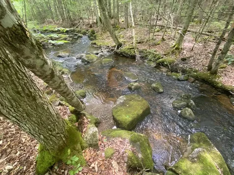 783 Half Township Road Lincoln ME 04457