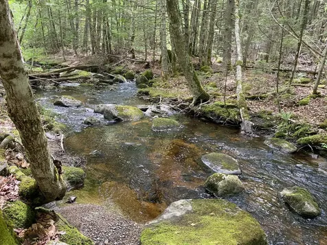 783 Half Township Road Lincoln ME 04457