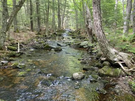 783 Half Township Road Lincoln ME 04457