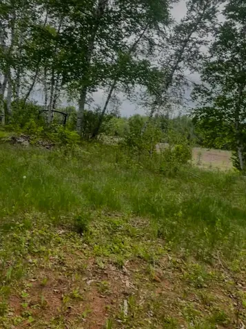 4422 Bennoch Road Alton ME 04468