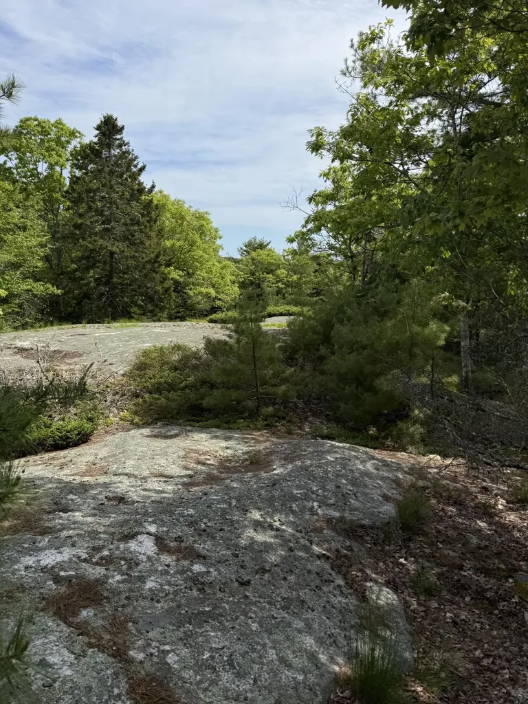 63 Sebasco Road Phippsburg ME 04562