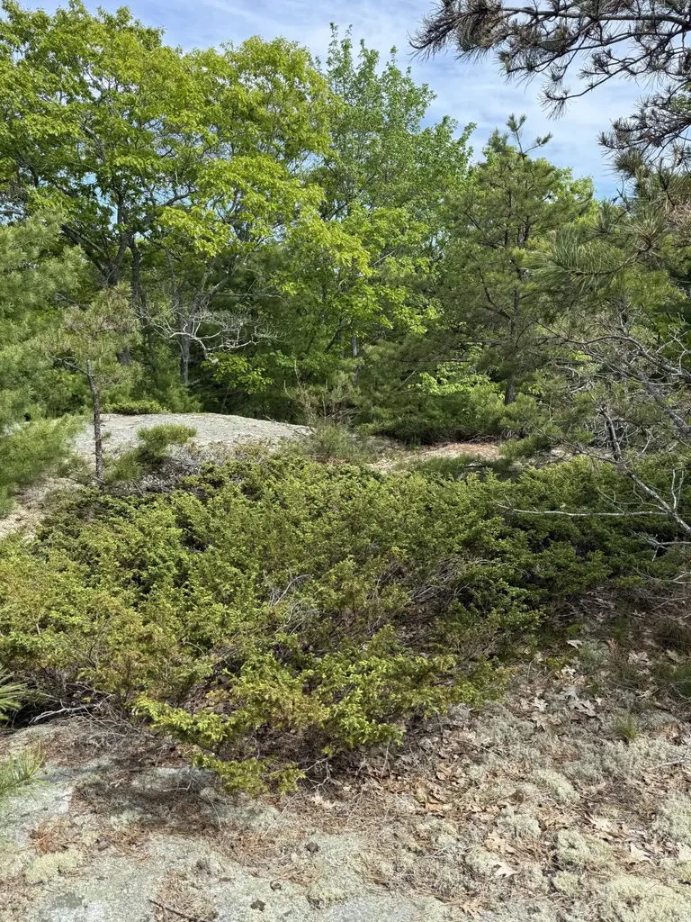 63 Sebasco Road Phippsburg ME 04562