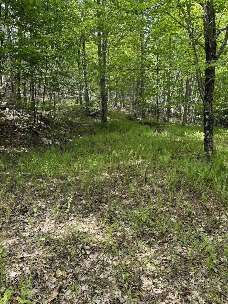 63 Sebasco Road Phippsburg ME 04562