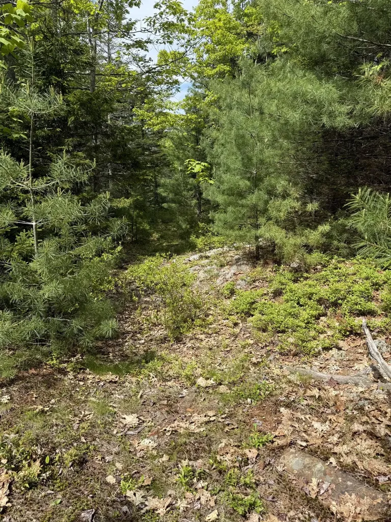 63 Sebasco Road Phippsburg ME 04562