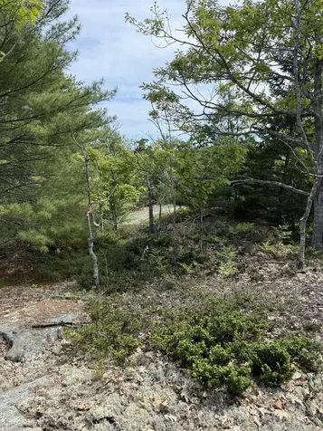 63 Sebasco Road Phippsburg ME 04562