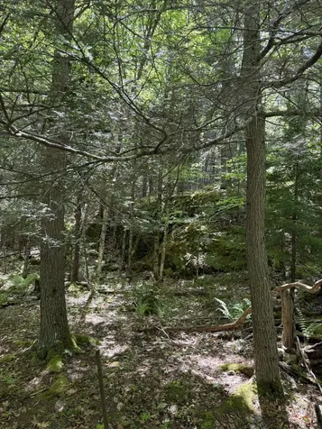 63 Sebasco Road Phippsburg ME 04562