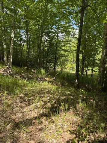 63 Sebasco Road Phippsburg ME 04562