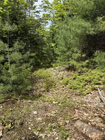 63 Sebasco Road Phippsburg ME 04562