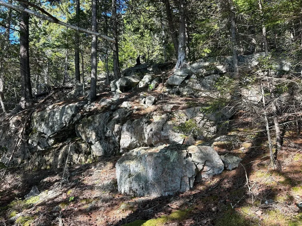441 Pretty Marsh Road Mount Desert ME 04660