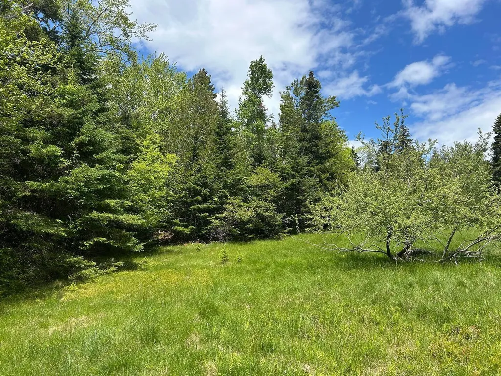 441 Pretty Marsh Road Mount Desert ME 04660