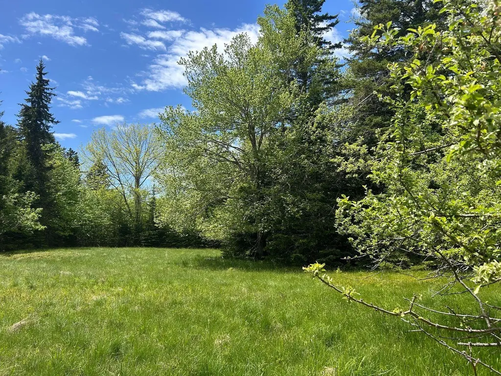 441 Pretty Marsh Road Mount Desert ME 04660