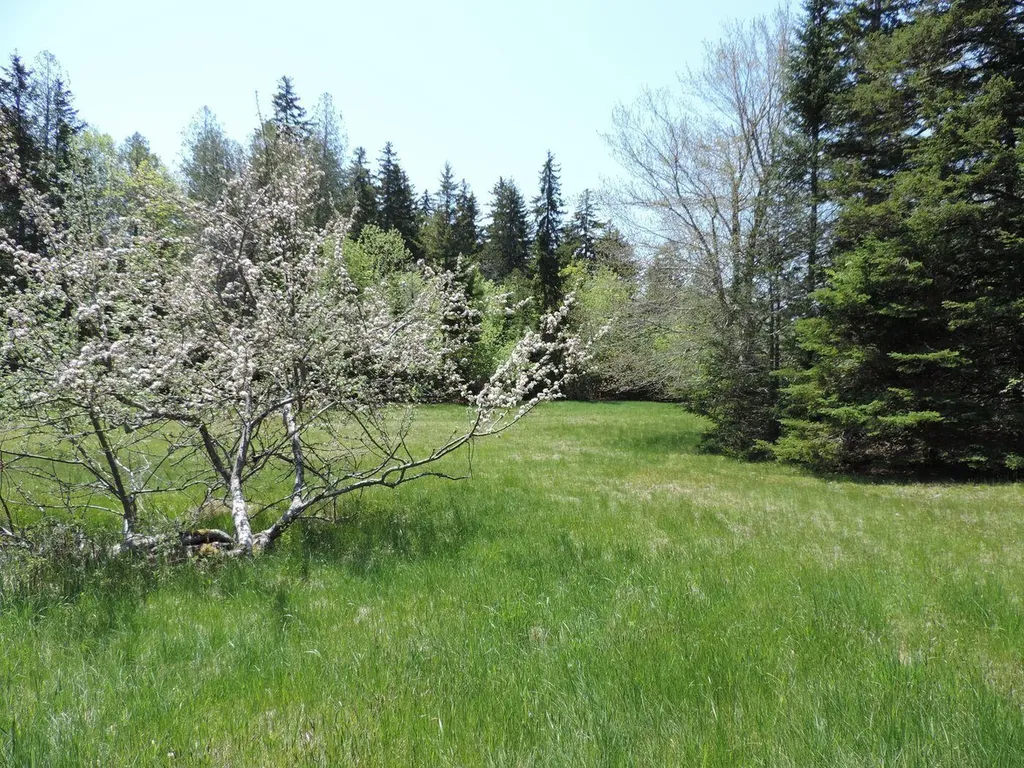 441 Pretty Marsh Road Mount Desert ME 04660