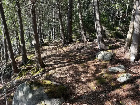 441 Pretty Marsh Road Mount Desert ME 04660