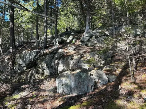 441 Pretty Marsh Road Mount Desert ME 04660