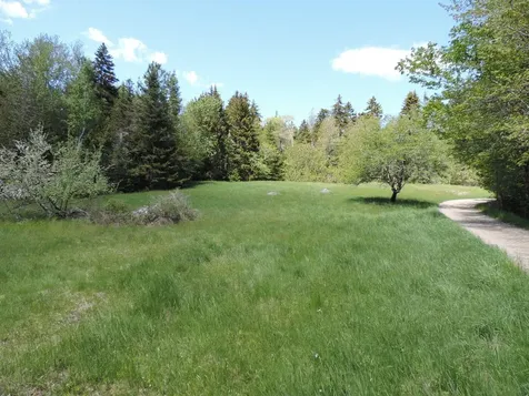441 Pretty Marsh Road Mount Desert ME 04660