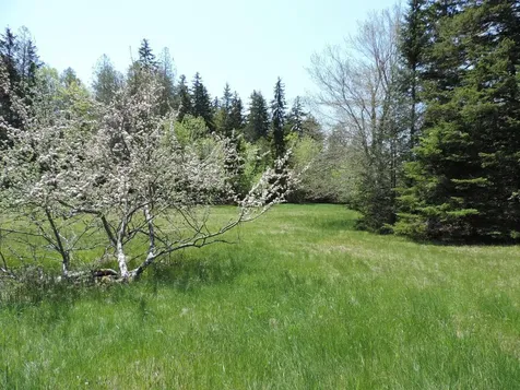 441 Pretty Marsh Road Mount Desert ME 04660