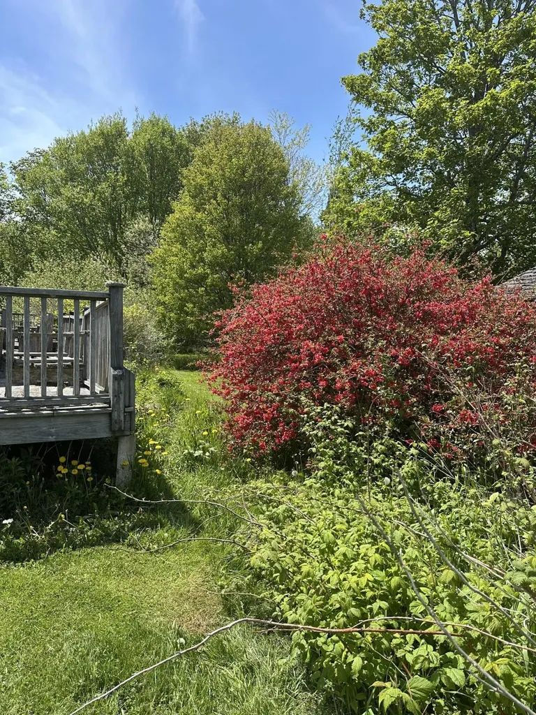 31 Shag Hollow Road Matinicus Isle Plt ME 04851