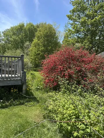 31 Shag Hollow Road Matinicus Isle Plt ME 04851