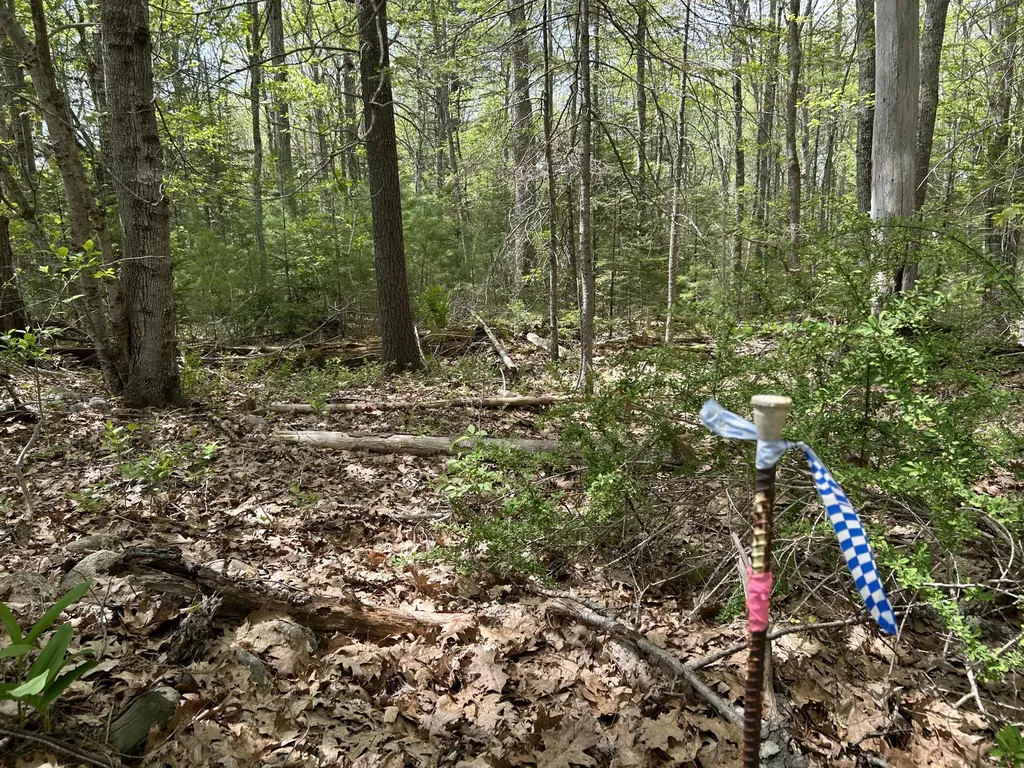 103 Ledges Circle Waldoboro ME 04572