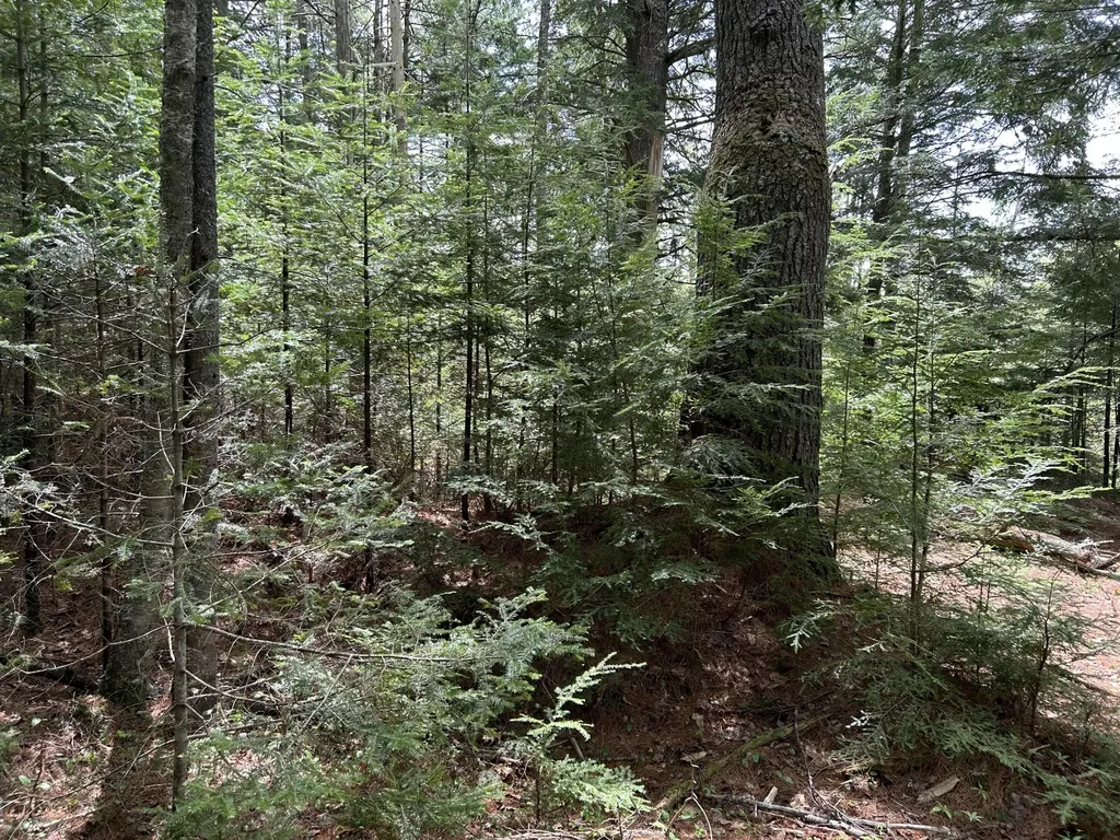 103 Ledges Circle Waldoboro ME 04572