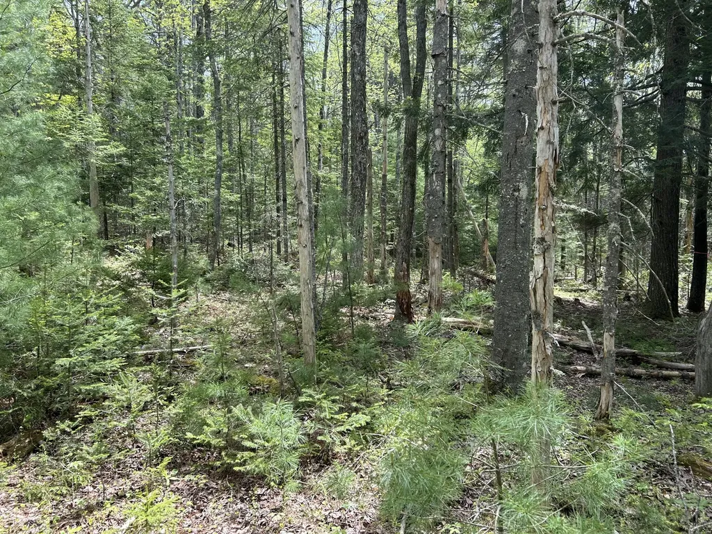 103 Ledges Circle Waldoboro ME 04572