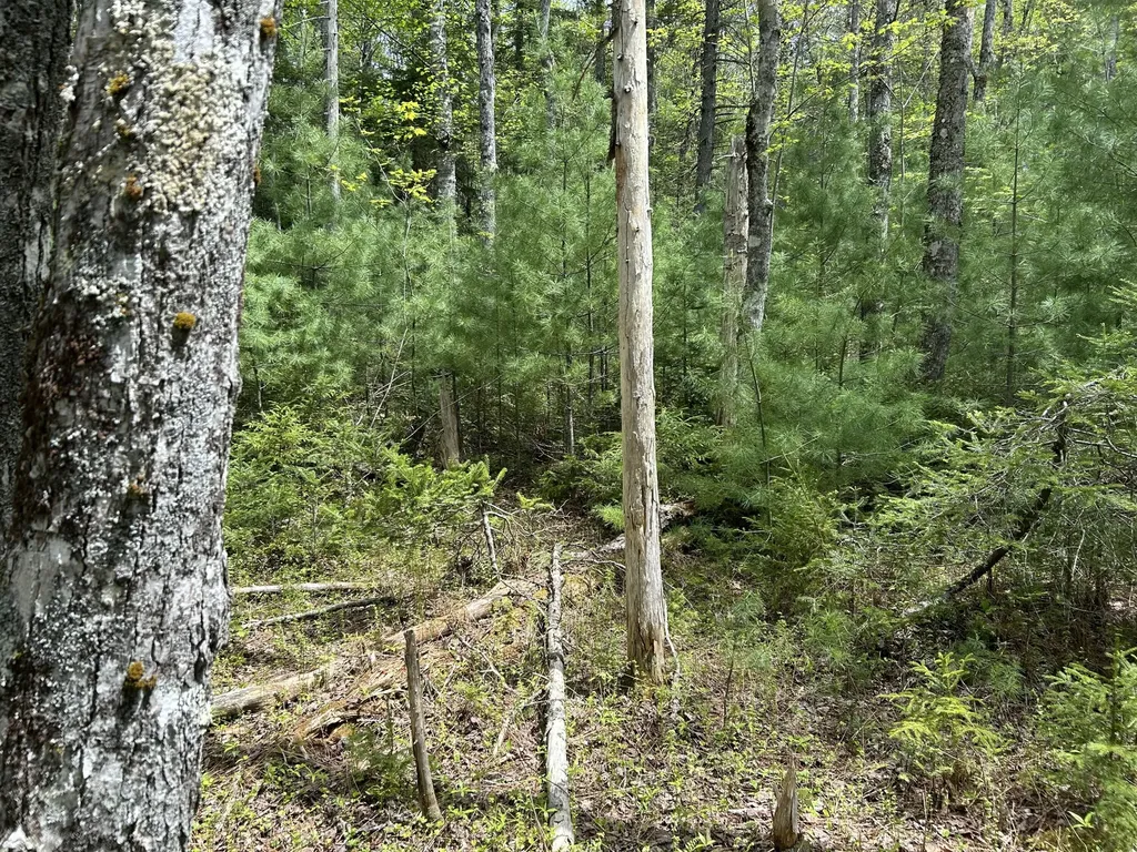 103 Ledges Circle Waldoboro ME 04572