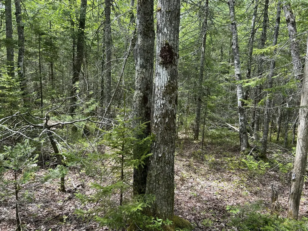 103 Ledges Circle Waldoboro ME 04572