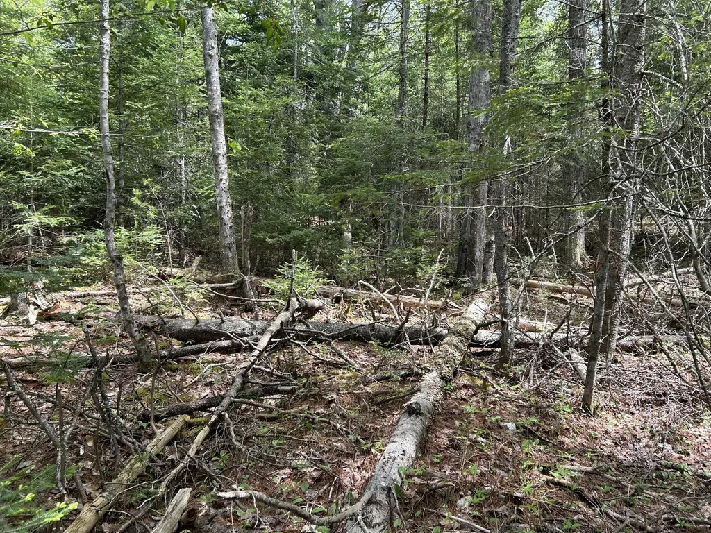 103 Ledges Circle Waldoboro ME 04572