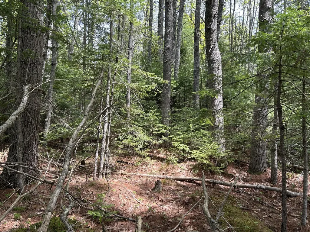 103 Ledges Circle Waldoboro ME 04572
