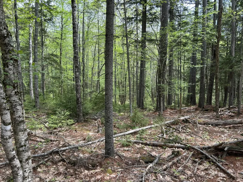 103 Ledges Circle Waldoboro ME 04572