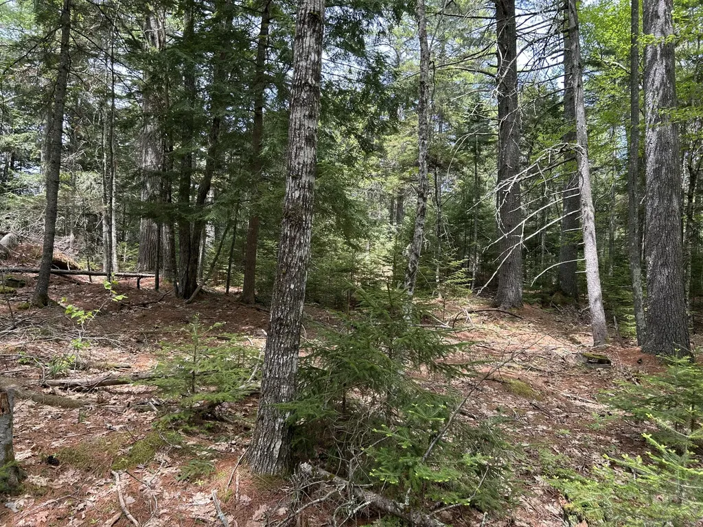 103 Ledges Circle Waldoboro ME 04572