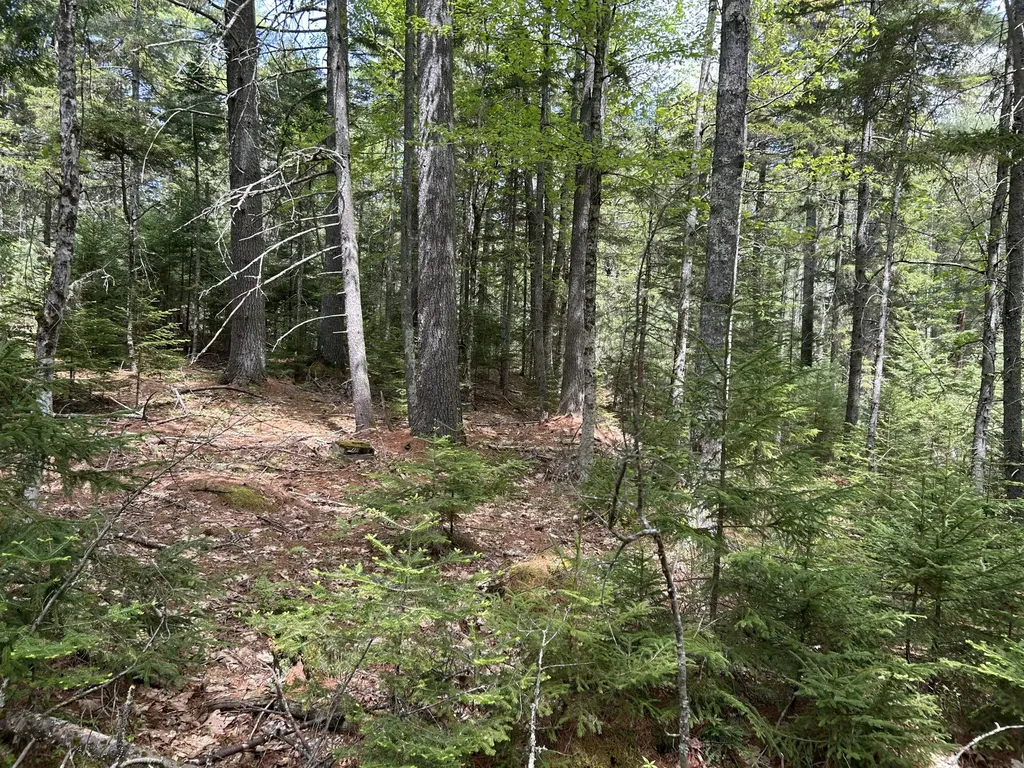 103 Ledges Circle Waldoboro ME 04572
