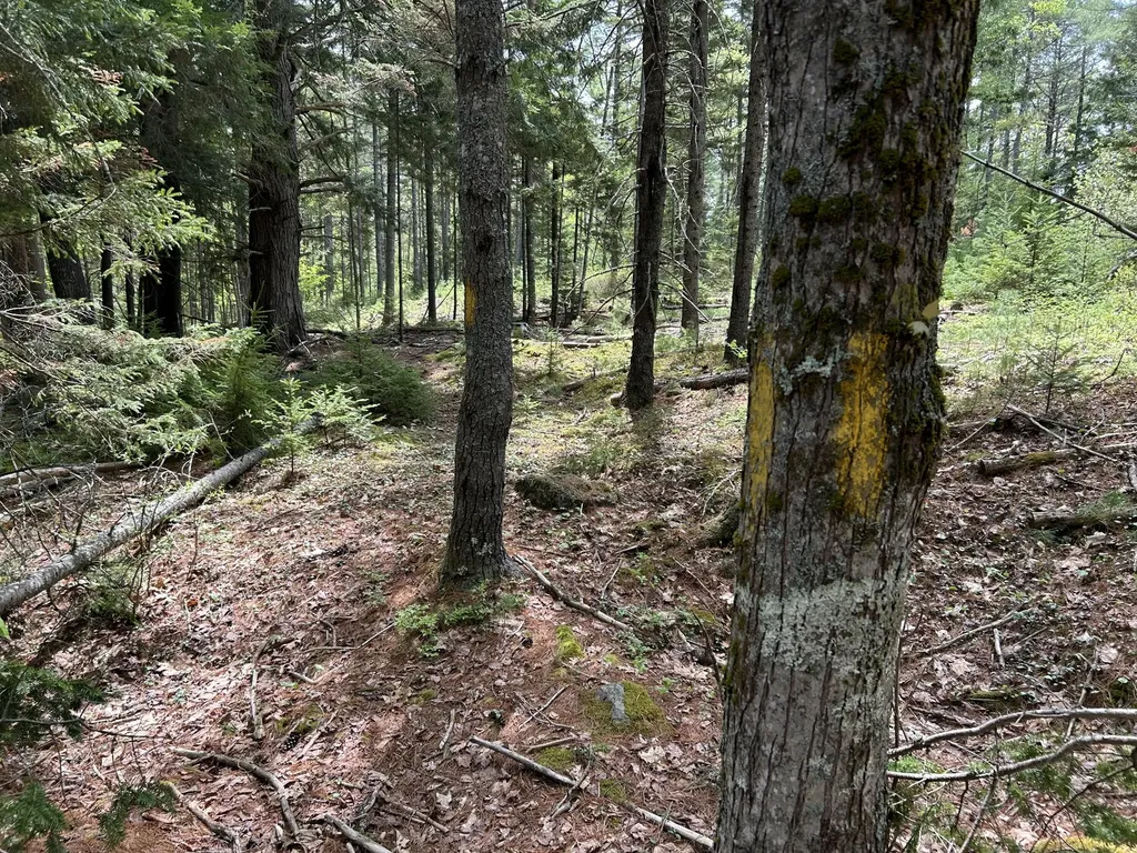 103 Ledges Circle Waldoboro ME 04572