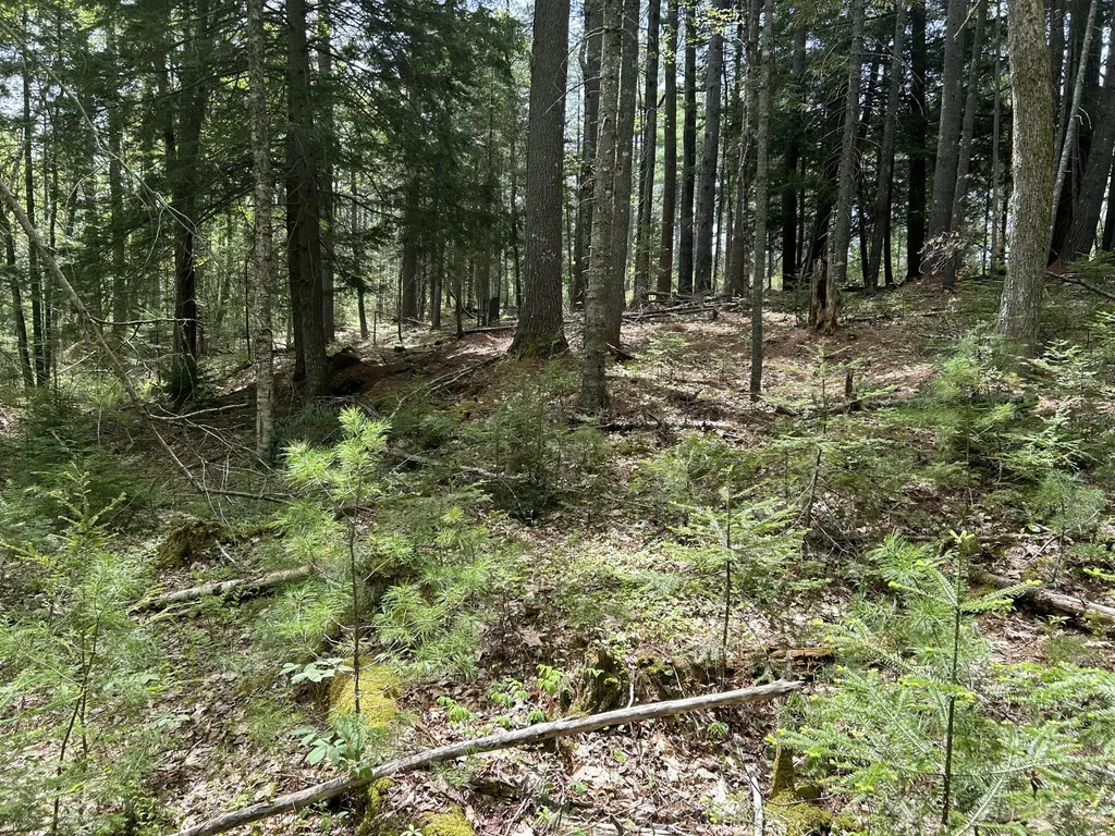 103 Ledges Circle Waldoboro ME 04572