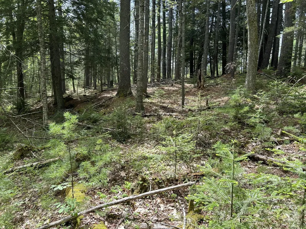 103 Ledges Circle Waldoboro ME 04572