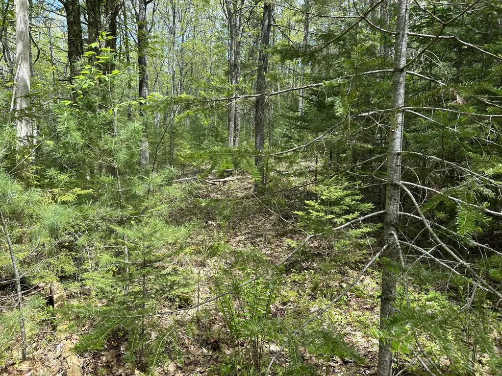 103 Ledges Circle Waldoboro ME 04572