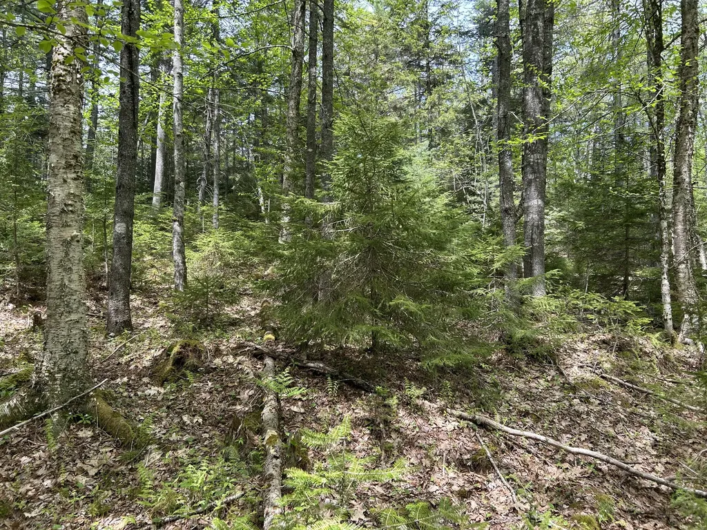 103 Ledges Circle Waldoboro ME 04572