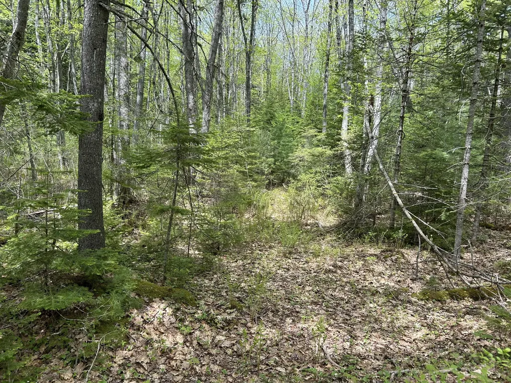 103 Ledges Circle Waldoboro ME 04572