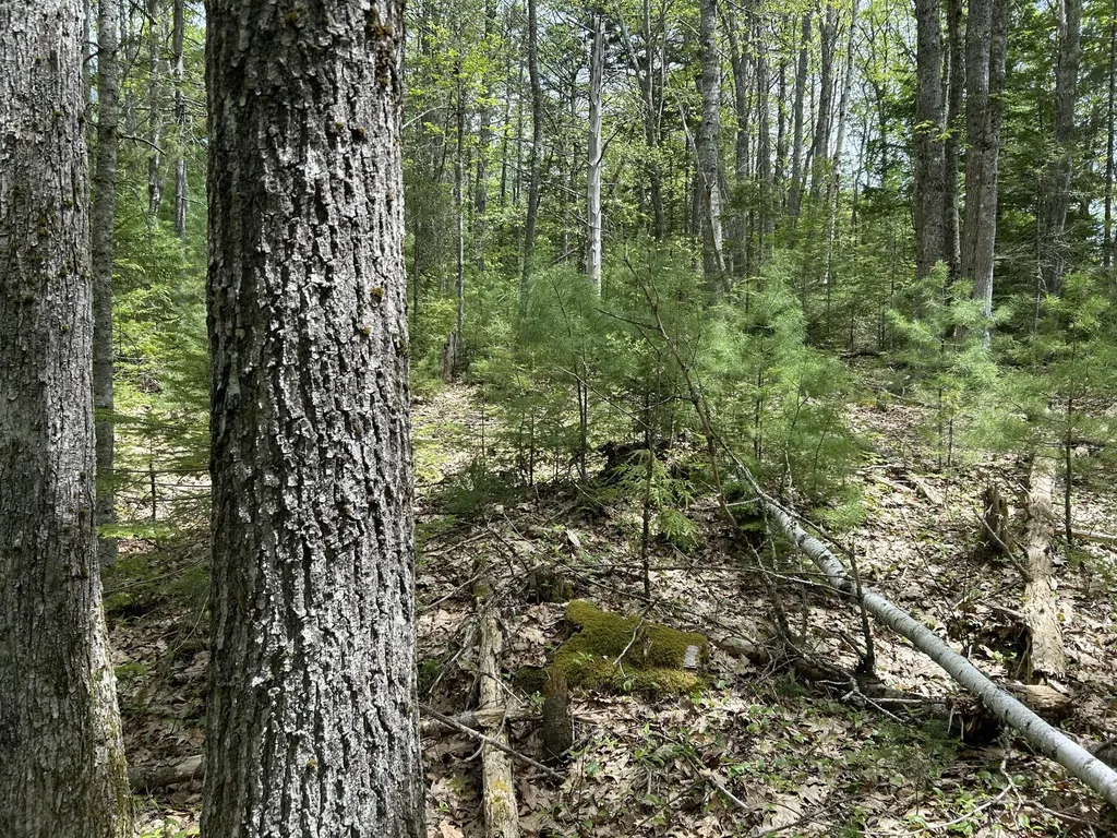 103 Ledges Circle Waldoboro ME 04572